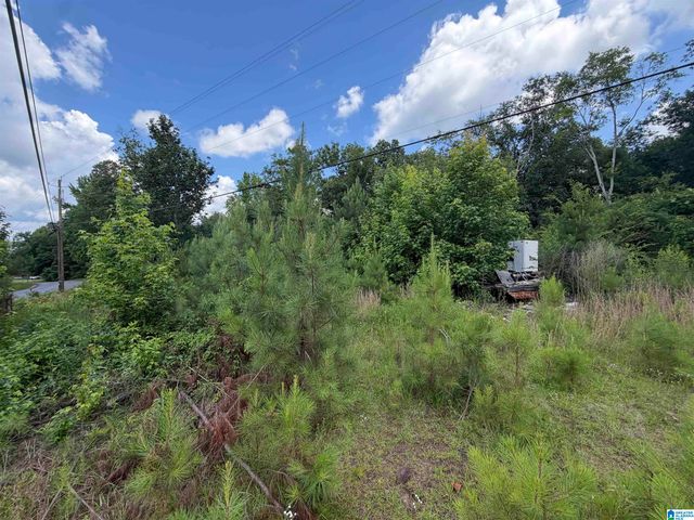 350 OSCAR BRADFORD ROAD, Warrior, AL 35180