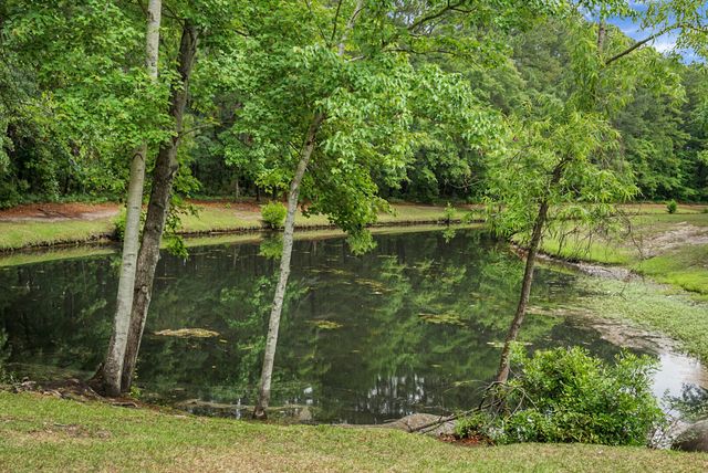 601 Salterton Street, Summerville, SC 29485