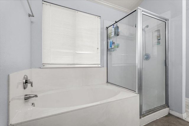 281 Leonardo ST, Kyle, TX 78640