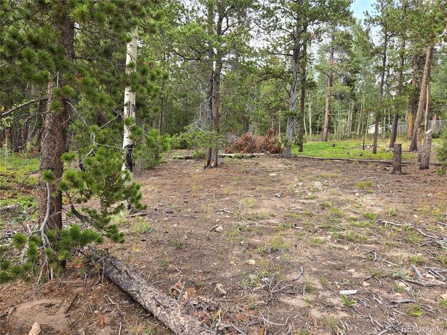 1 Tiber, Black Hawk, CO 80422