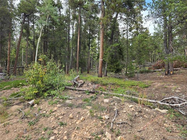 1 Tiber, Black Hawk, CO 80422