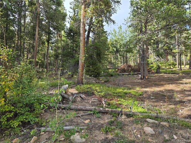 1 Tiber, Black Hawk, CO 80422