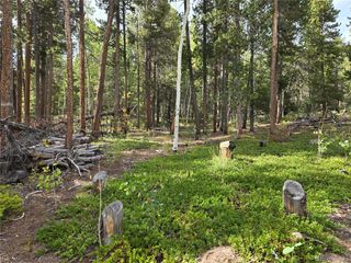 1 Tiber, Black Hawk, CO 80422