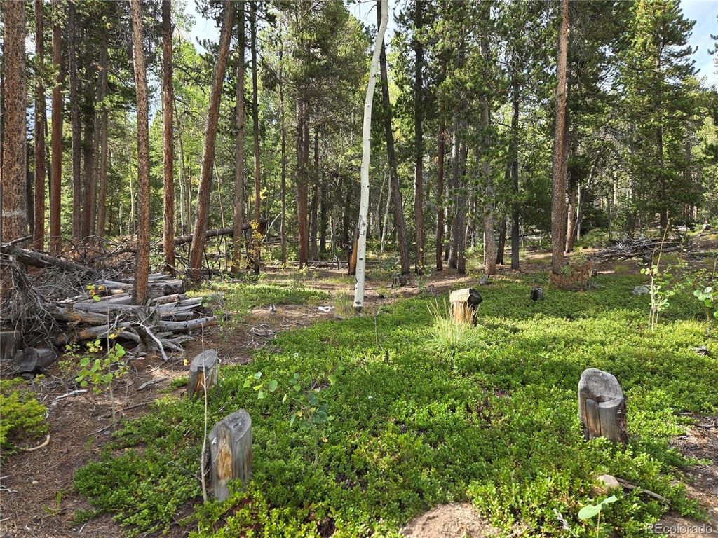 1 Tiber, Black Hawk, CO 80422