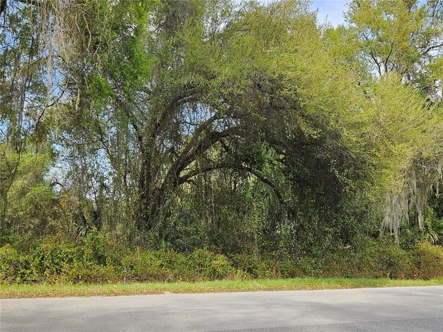 LOCUST RUN COURSE, Ocala, FL 34472