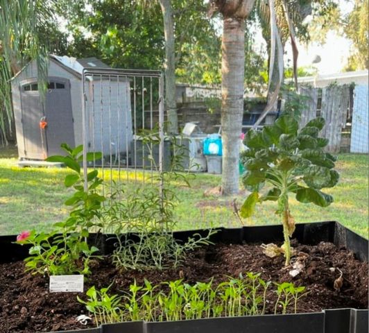 1405 JACKSON, Daytona Beach, FL 32117