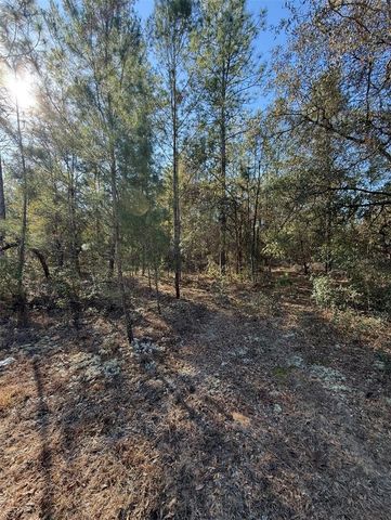 TBT 5TH WAY, Interlachen, FL 32148