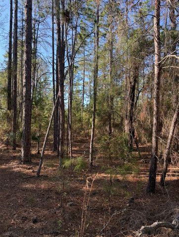 TBT 5TH WAY, Interlachen, FL 32148