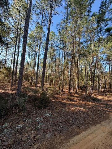 TBT 5TH WAY, Interlachen, FL 32148