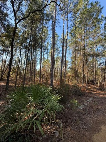 TBT 5TH WAY, Interlachen, FL 32148