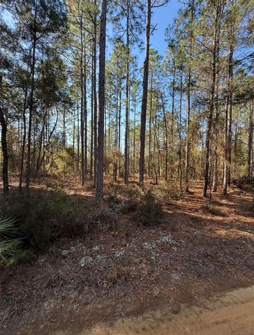 TBT 5TH WAY, Interlachen, FL 32148