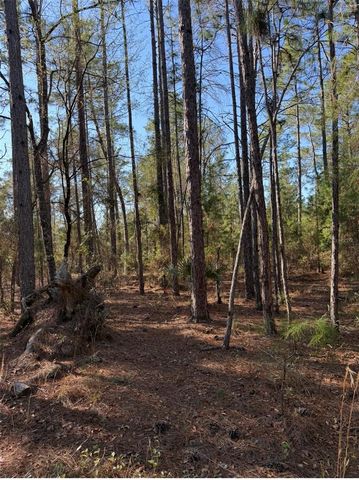 TBT 5TH WAY, Interlachen, FL 32148