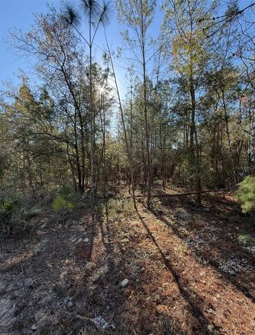 TBT 5TH WAY, Interlachen, FL 32148