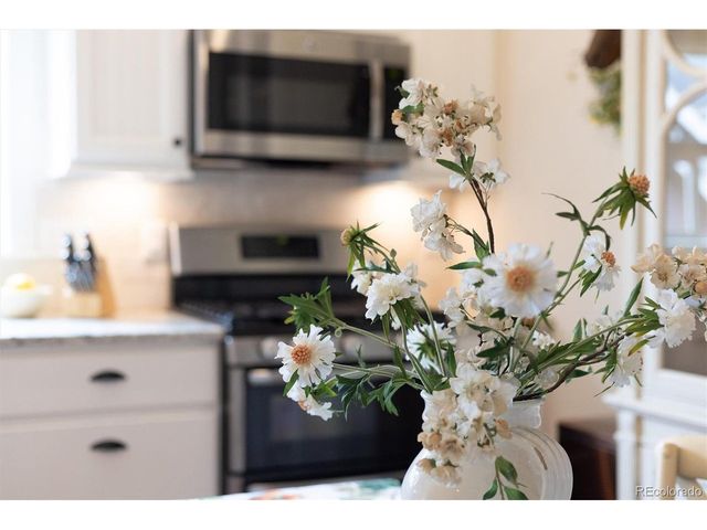 9035 E 49th Pl, Denver, CO 80238