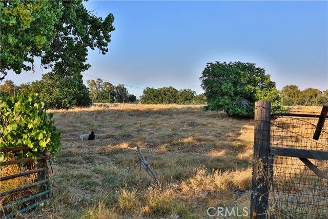 2946 Kirkwood Road, Corning, CA 96021