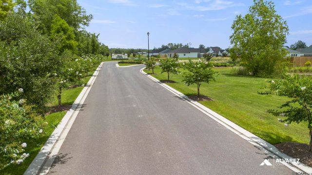 14463 Belle Trace Ave, Gonzales, LA 70737