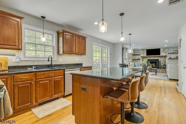 12 Cork Hill Rd, Ogdensburg Boro, NJ 07439