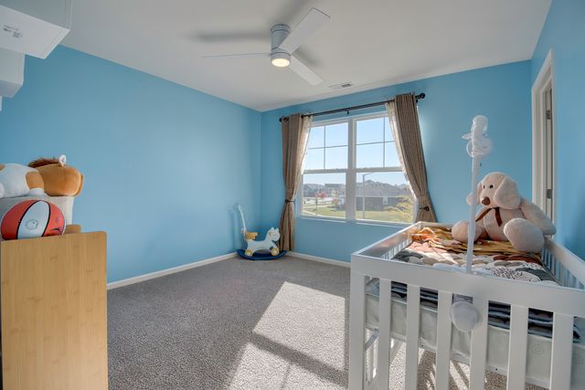 25424 W Ashton Drive, Plainfield, IL 60586