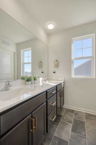 25424 W Ashton Drive, Plainfield, IL 60586