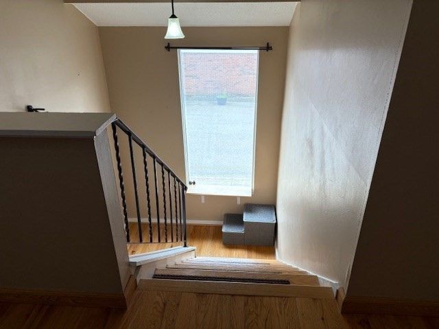 64 Laurelwood Dr 64, Stoughton, MA 02072