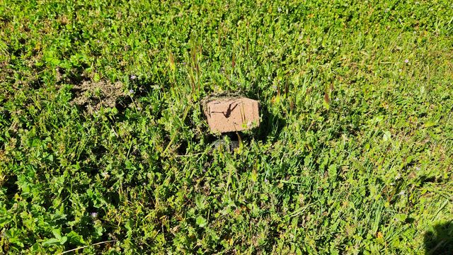 19215 Hooker Creek Road, Cottonwood, CA 96022