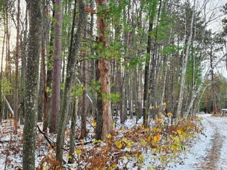 Lot 18 Kingsley Lane, Grayling, MI 49738