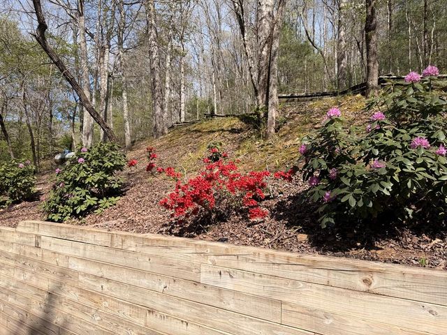 113 Sunrise Court, Blue Ridge, GA 30513