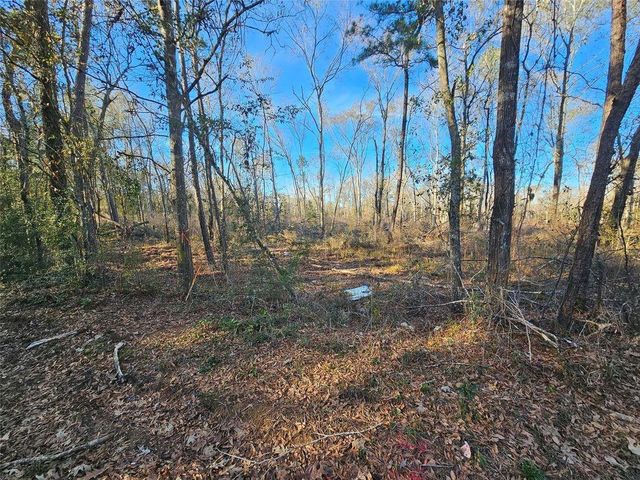 Lot 1 Sherwood Drive, Shepherd, TX 77371