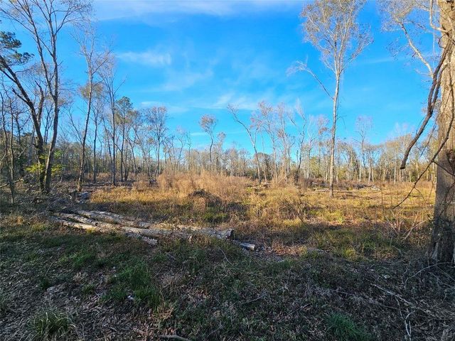 Lot 1 Sherwood Drive, Shepherd, TX 77371