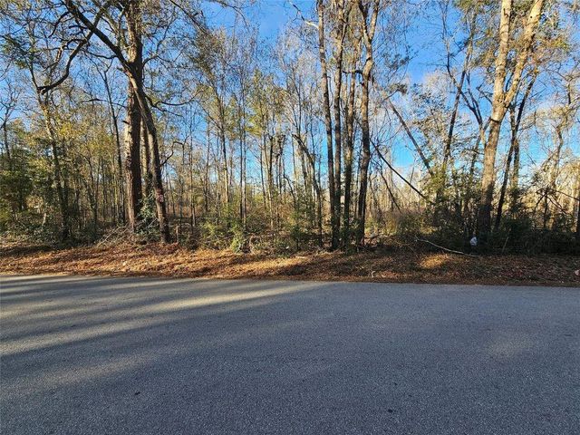 Lot 1 Sherwood Drive, Shepherd, TX 77371
