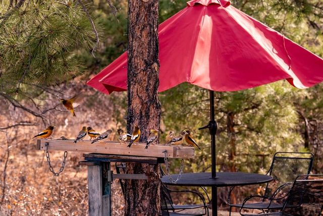 16556 Buena Vista Dr, Bon Carbo, CO 81024