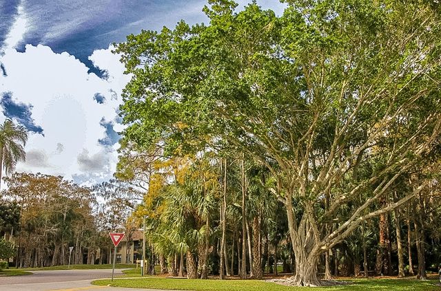 13055 Albright Court 20, Wellington, FL 33414