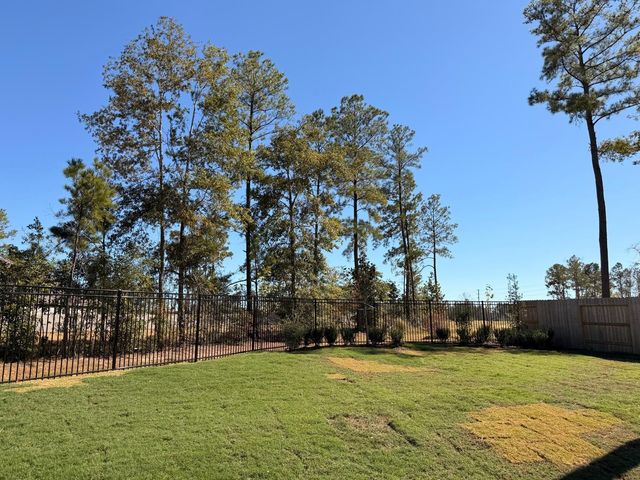 18459 Chameleon Court, Conroe, TX 77302