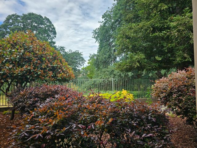 109 Timberlodge Ct, Roseville, CA 95747