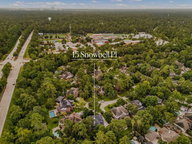 15 Snowbell Place, The Woodlands, TX 77381