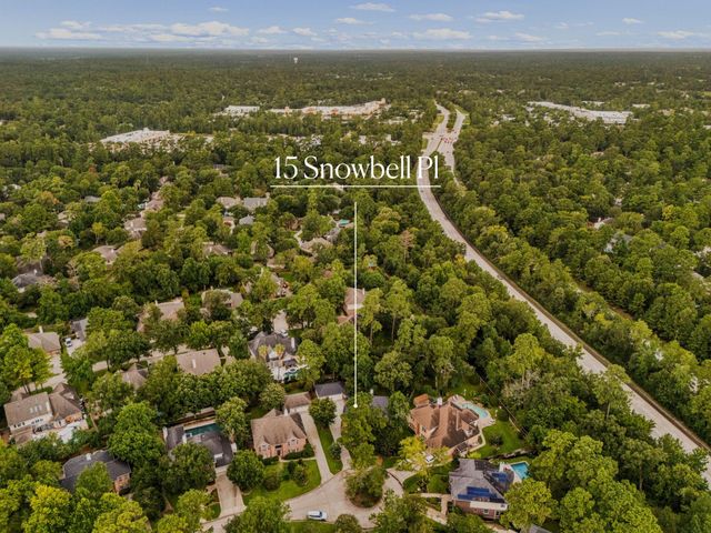 15 Snowbell Place, The Woodlands, TX 77381