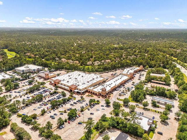 15 Snowbell Place, The Woodlands, TX 77381