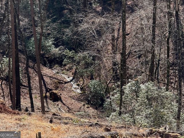 397 Early Drive, Dahlonega, GA 30533