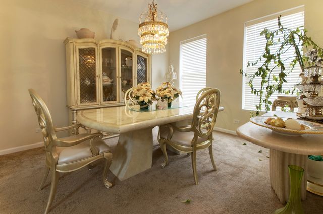 25463 W Cinnamon Circle, Plainfield, IL 60585