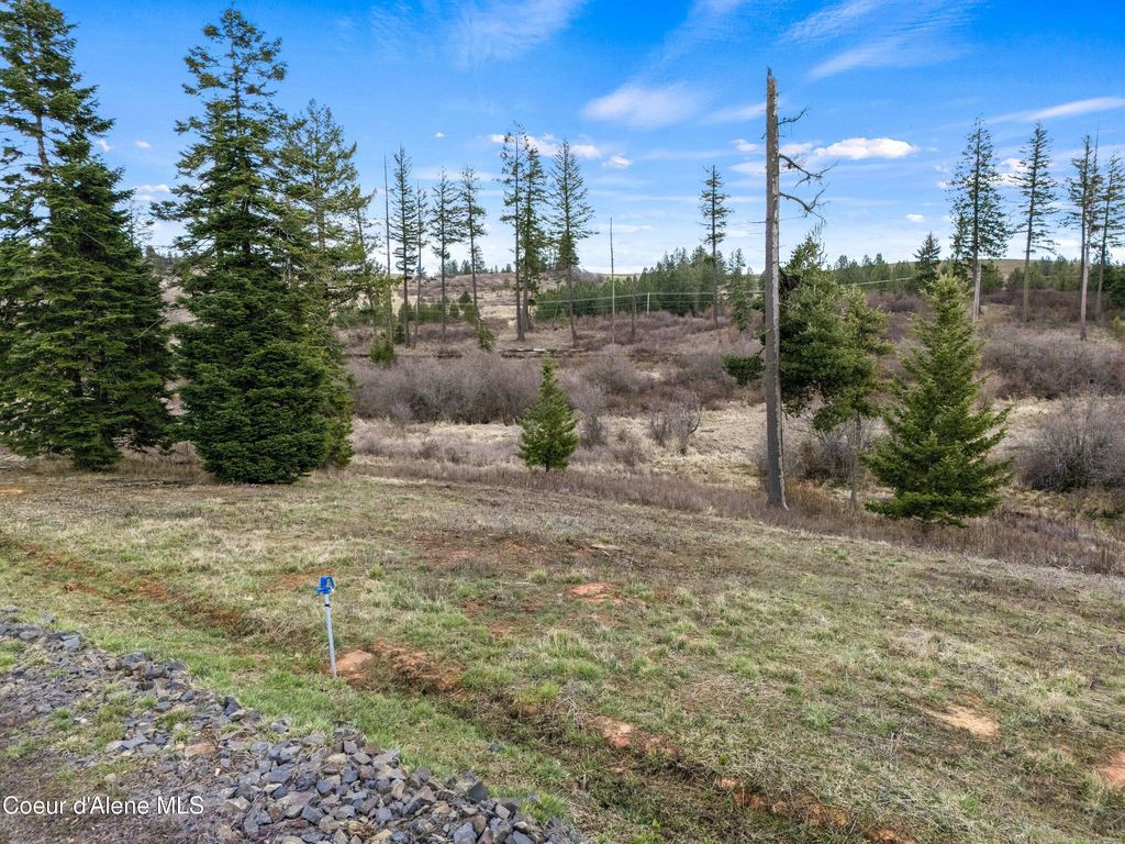 12872 W Elder Rd, Worley, ID 83876 photo 19