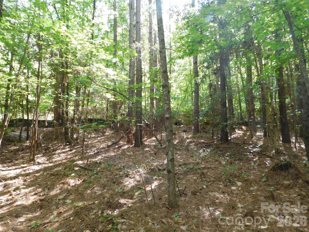 207 W Settings Boulevard NW, Valdese, NC 28690