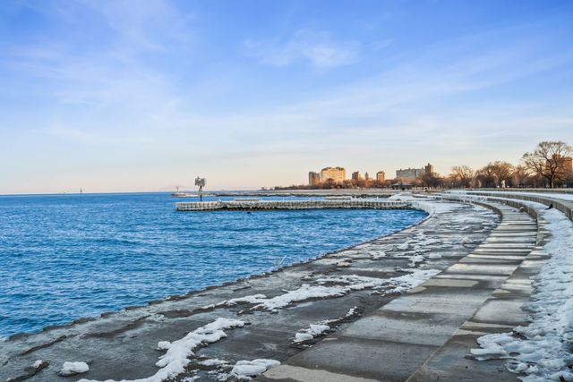 3817 S ELLIS Avenue 302, Chicago, IL 60653