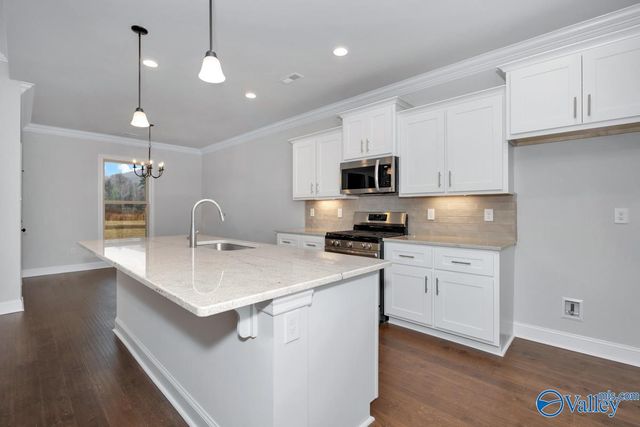 8824 Old Middlestown Road SE, Gurley, AL 35748