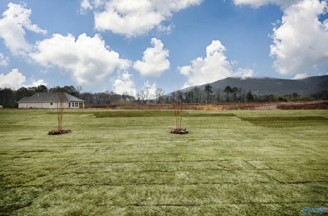 8824 Old Middlestown Road SE, Gurley, AL 35748