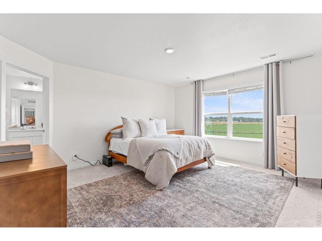 313 Raven Ln, Johnstown, CO 80534