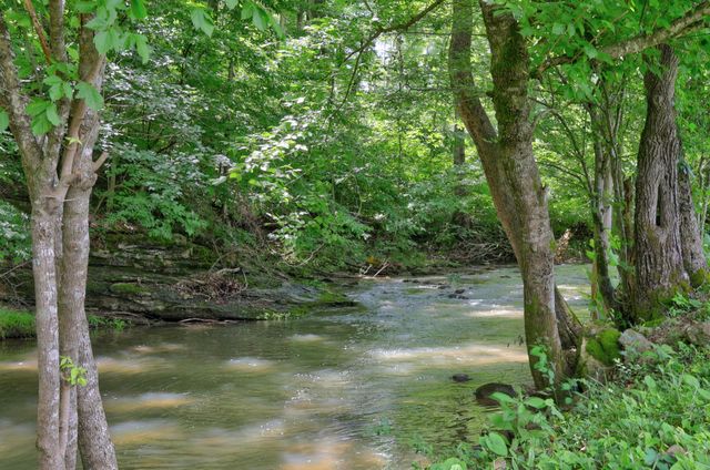1213 Rock Church Rd, Dickson, TN 37055