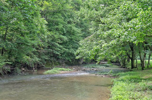 1213 Rock Church Rd, Dickson, TN 37055