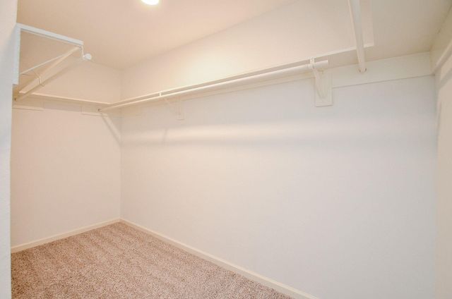 24206 Kingbriar Drive, Spring, TX 77373