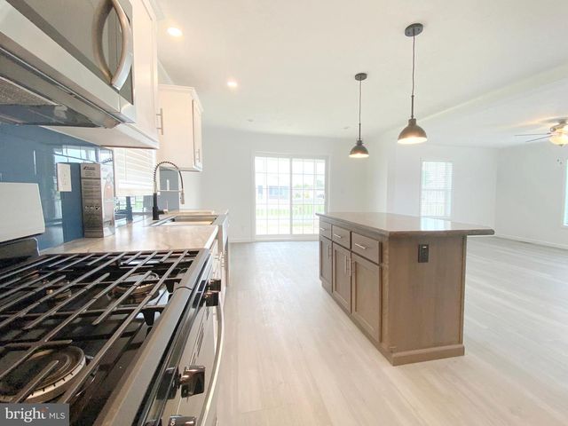 1 MADELYNS WAY, Lewes, DE 19958
