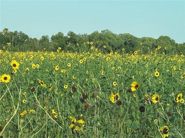 0000 S Military Road, La Joya, TX 78572